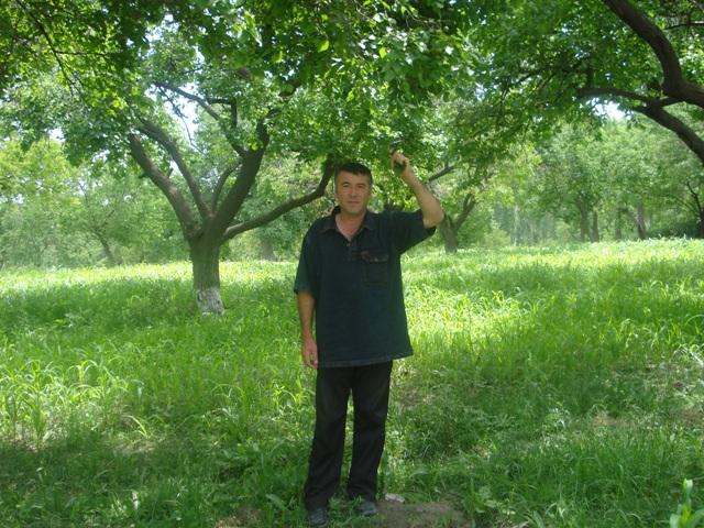 Borrower image