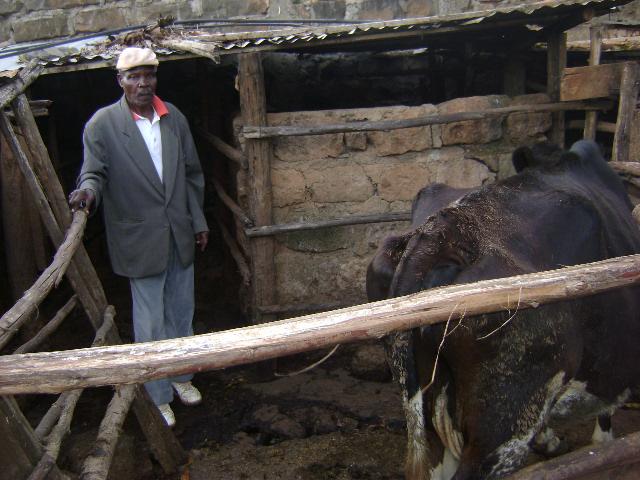 Borrower image