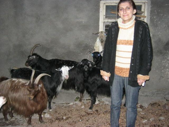 Borrower image