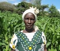 Borrower image