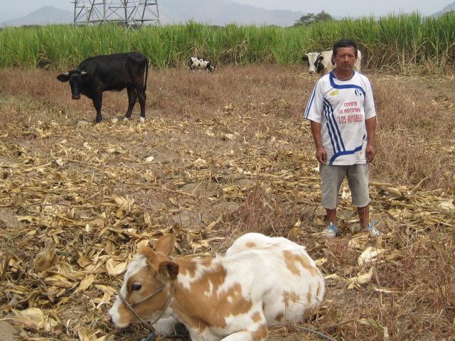Borrower image