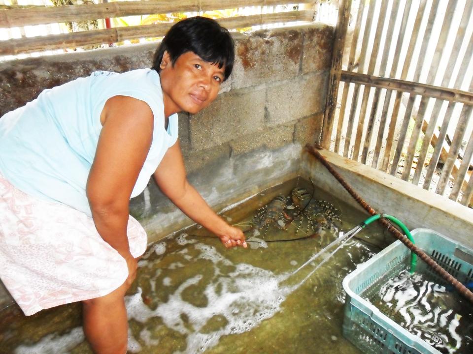 Borrower image