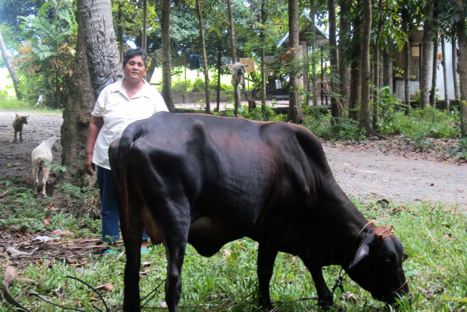 Borrower image