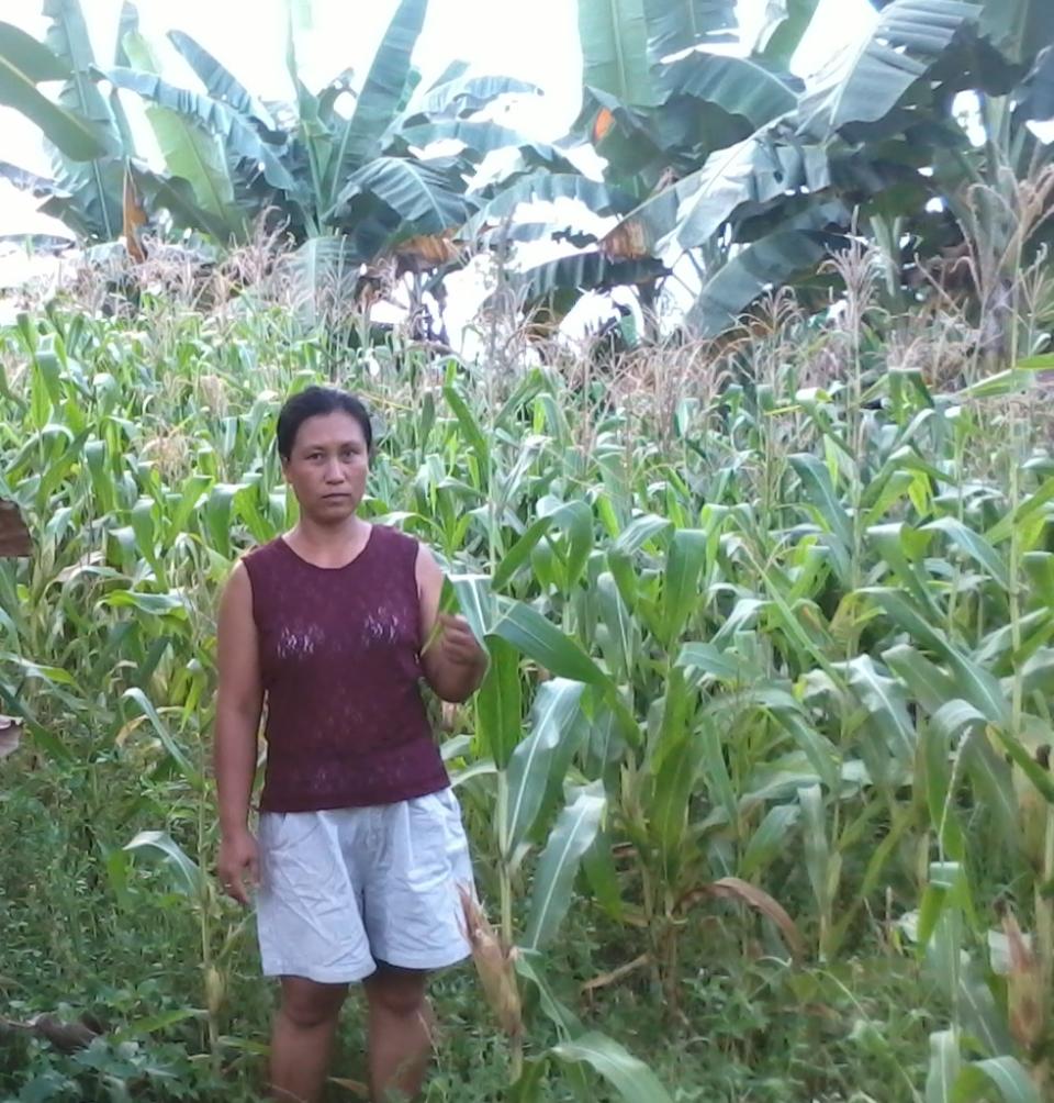 Borrower image