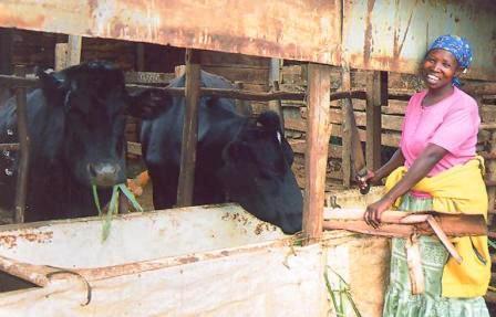 Borrower image