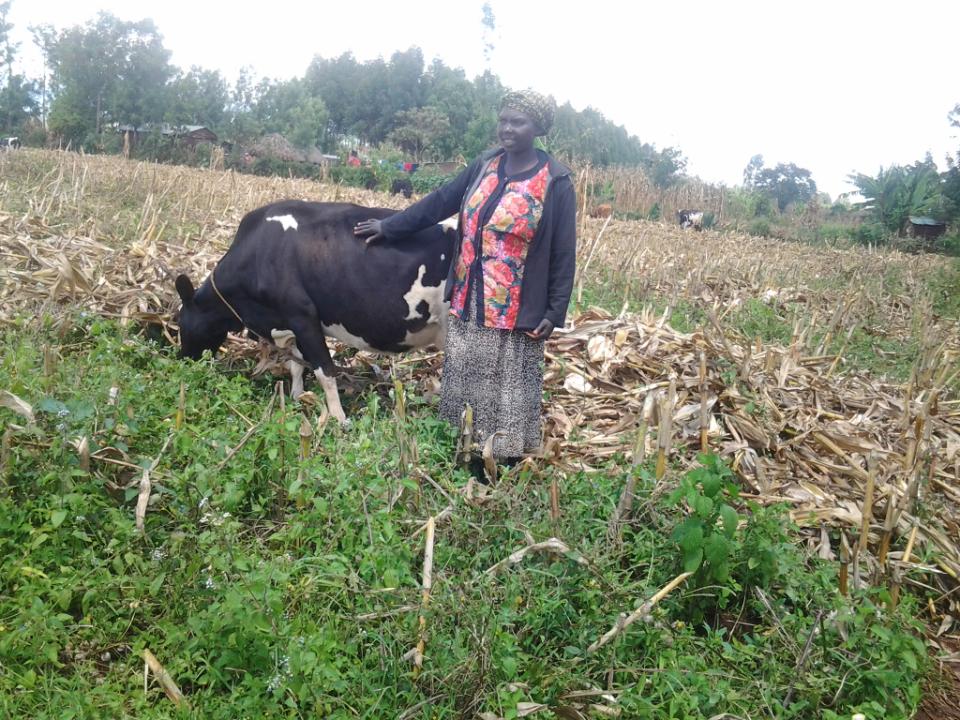 Borrower image