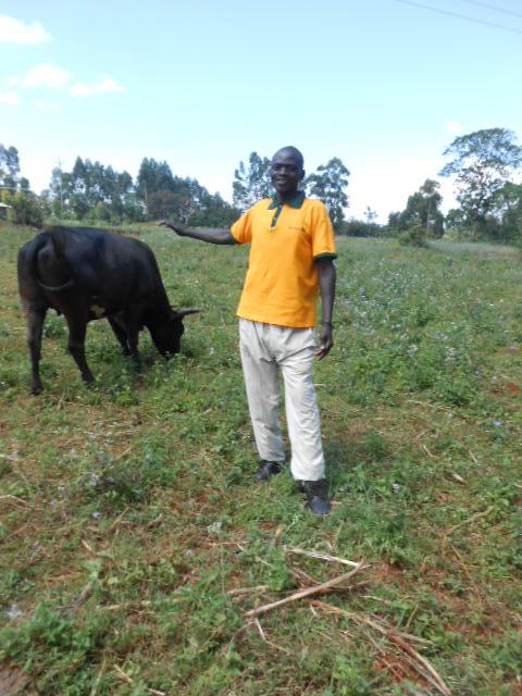 Borrower image