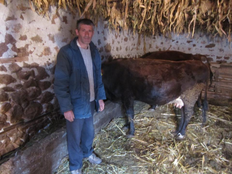 Borrower image