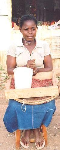 Borrower image