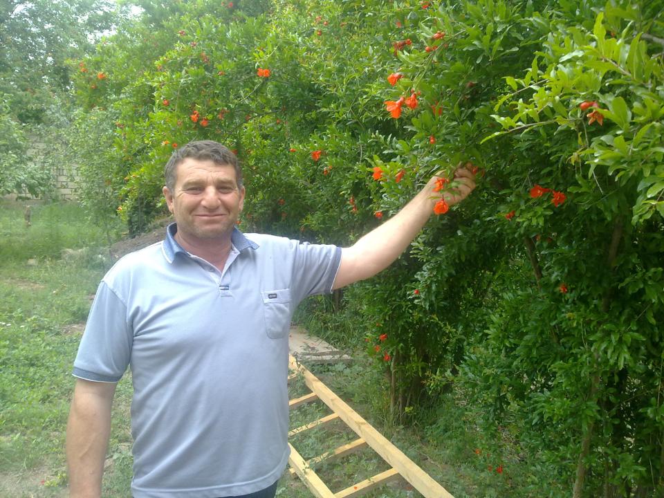 Borrower image
