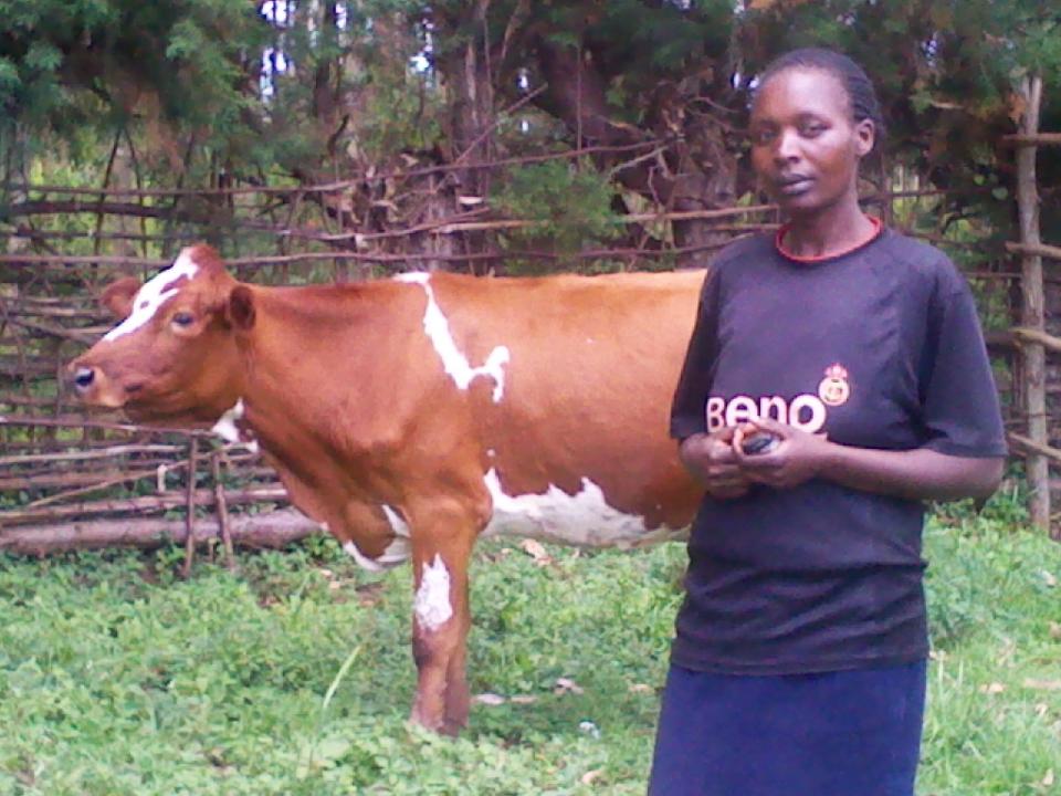 Borrower image