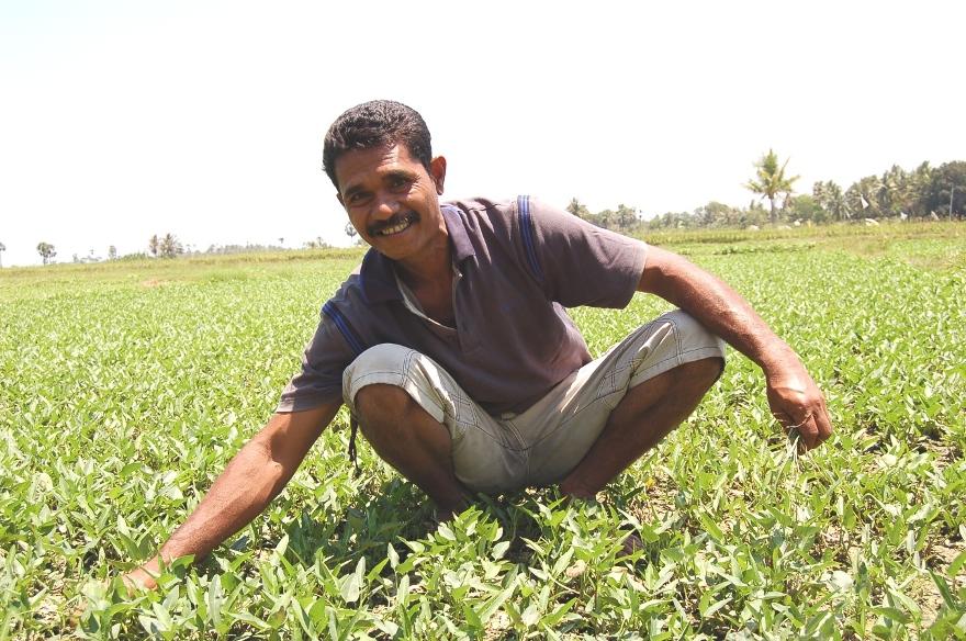 Borrower image