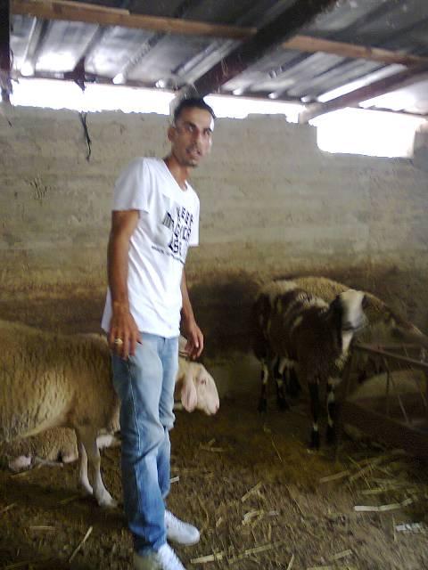 Borrower image