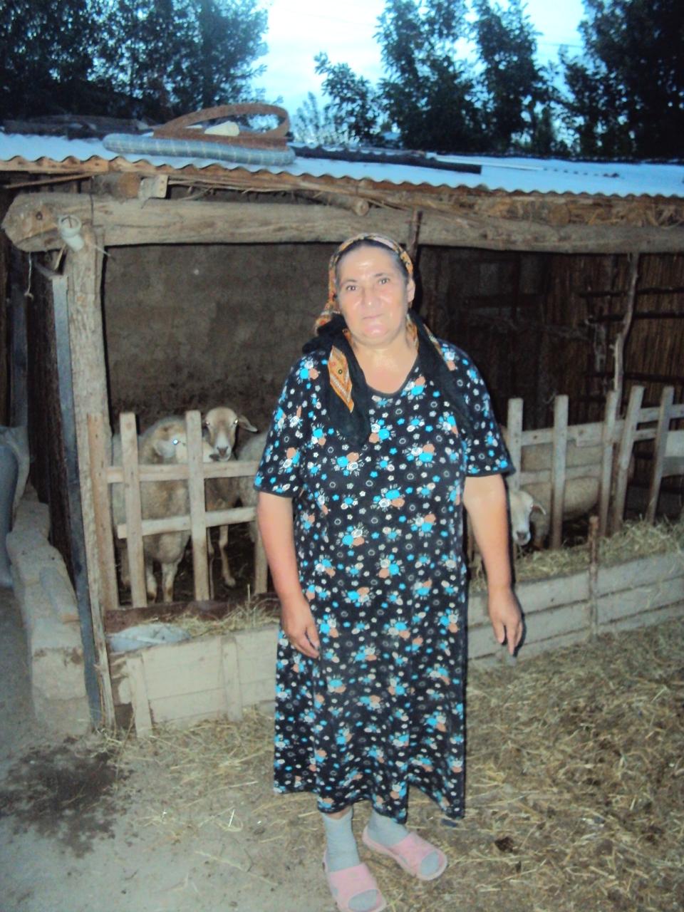 Borrower image