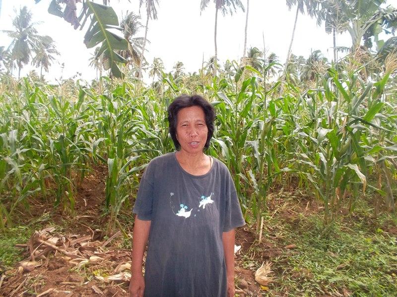 Borrower image
