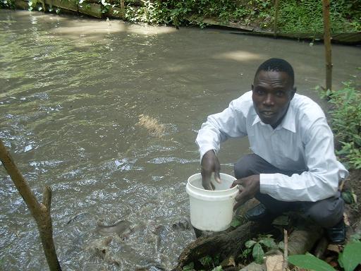 Borrower image