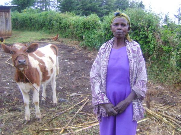 Borrower image