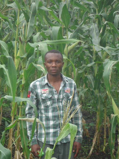 Borrower image