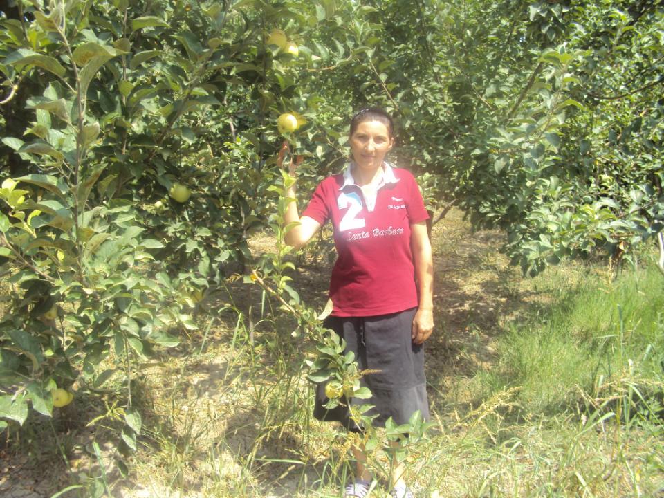 Borrower image
