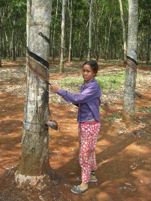 Borrower image
