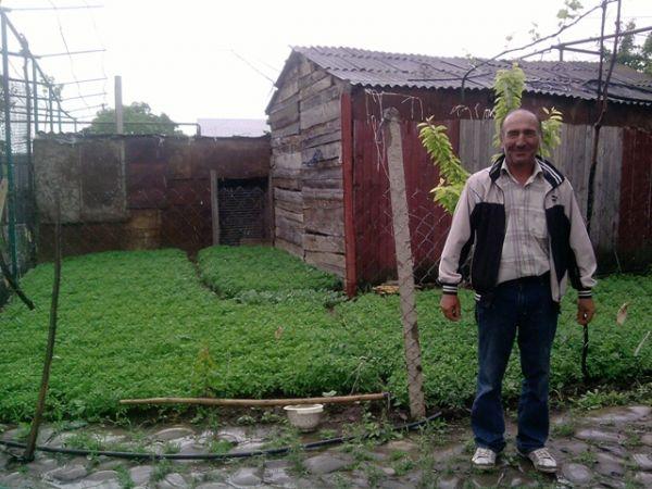 Borrower image