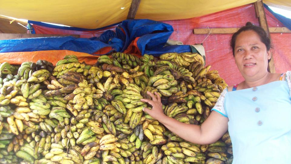 Borrower image