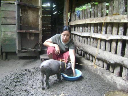 Borrower image