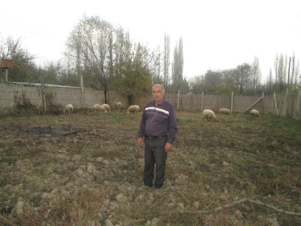 Borrower image