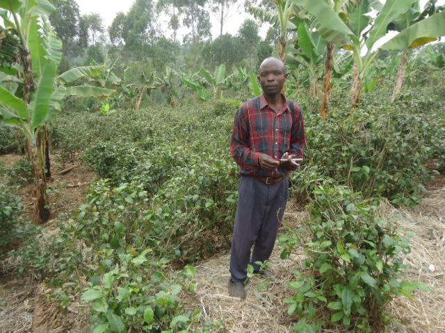 Borrower image