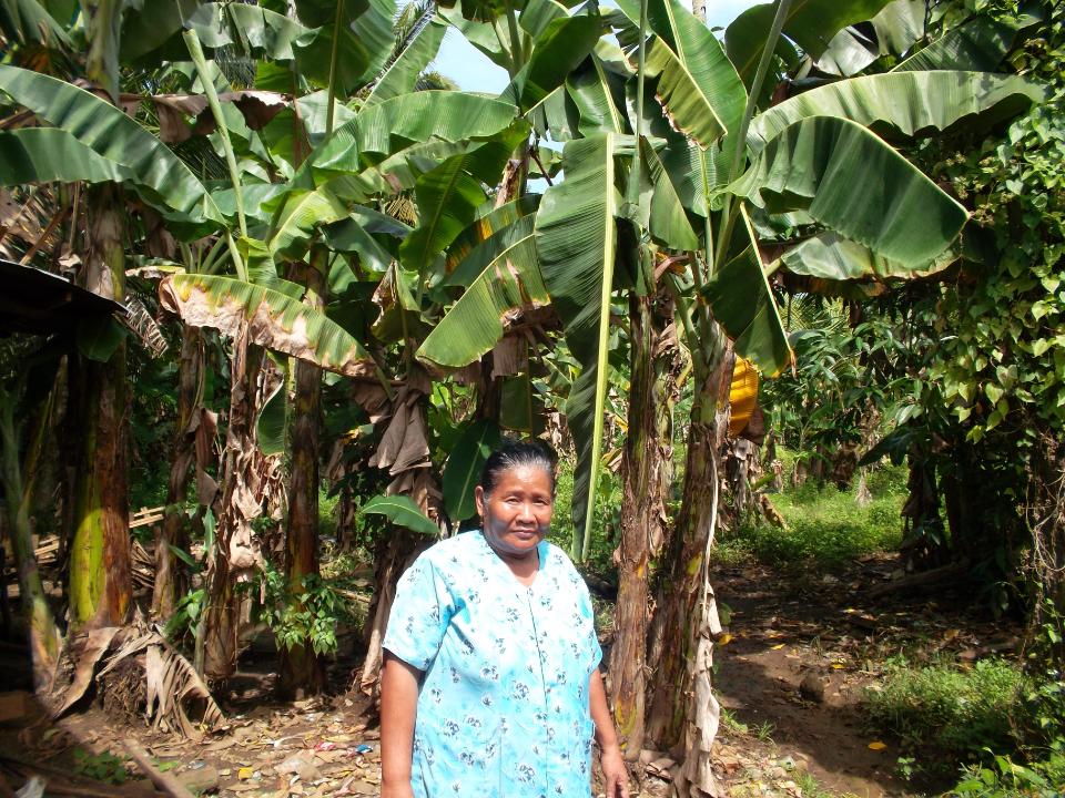 Borrower image