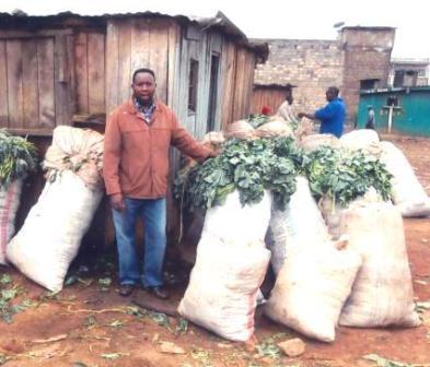 Borrower image