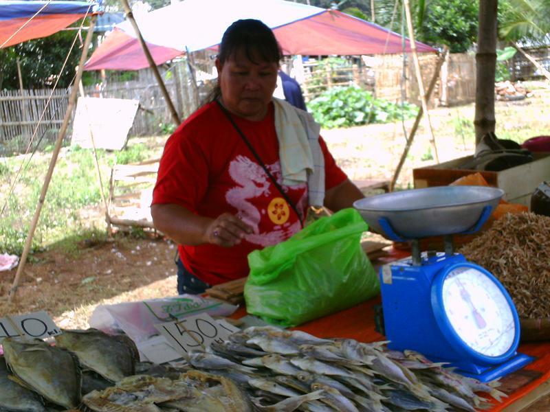 Borrower image