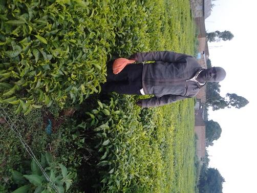 Borrower image