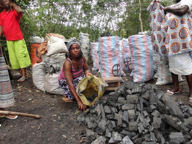 Borrower image