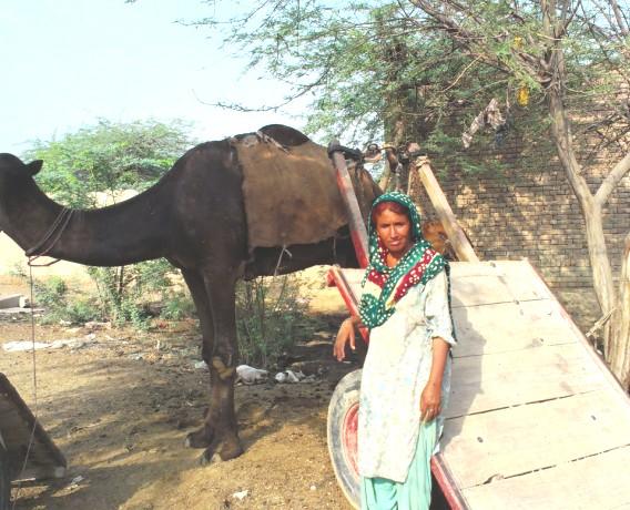 Borrower image