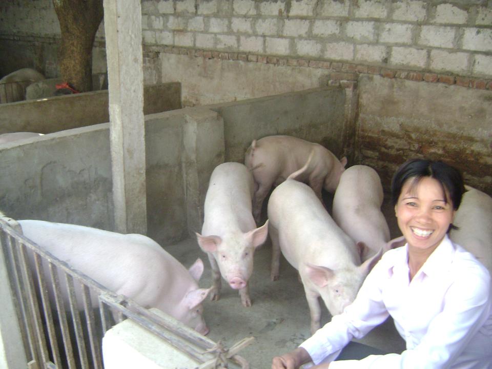 Borrower image