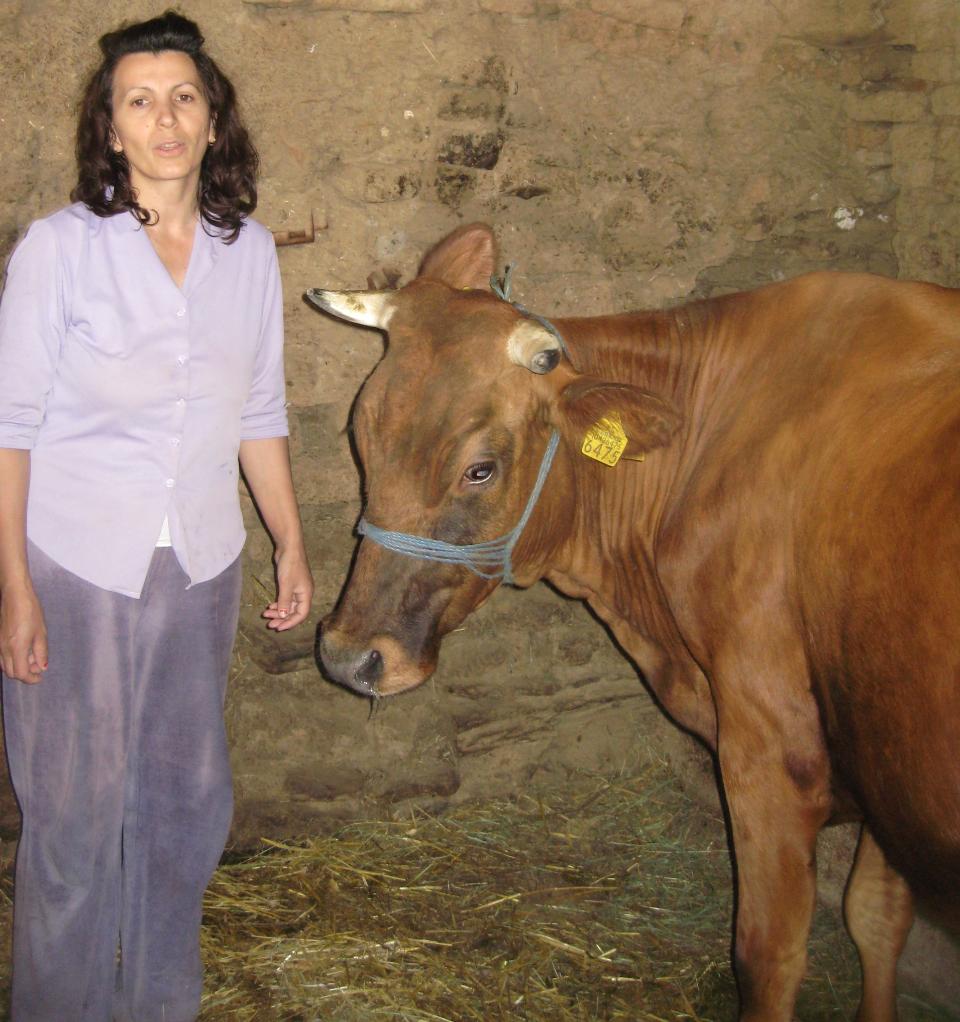 Borrower image