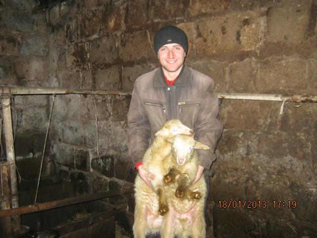 Borrower image