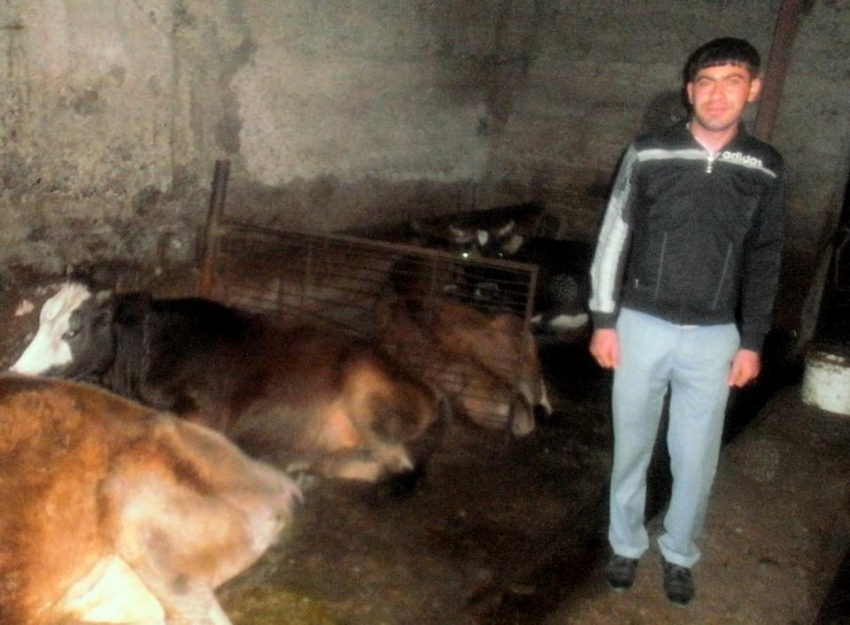 Borrower image