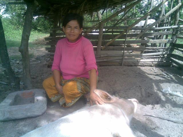Borrower image