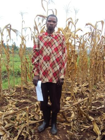 Borrower image