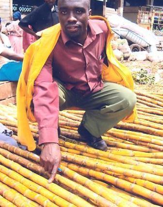Borrower image