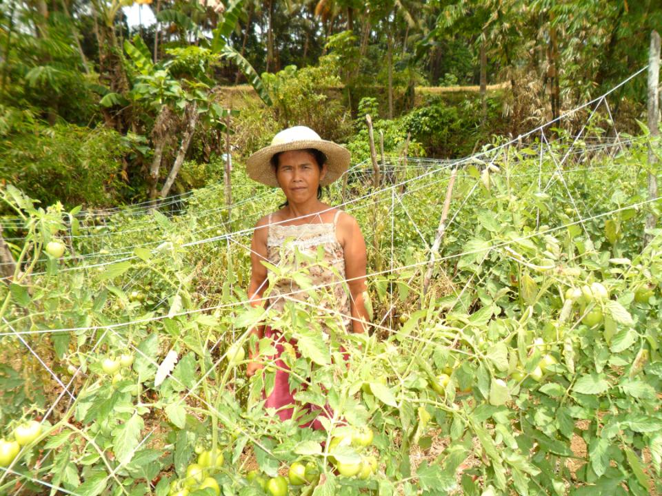 Borrower image