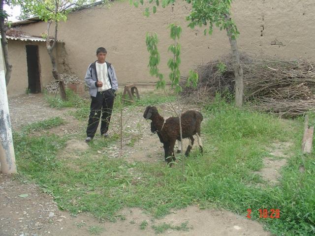 Borrower image