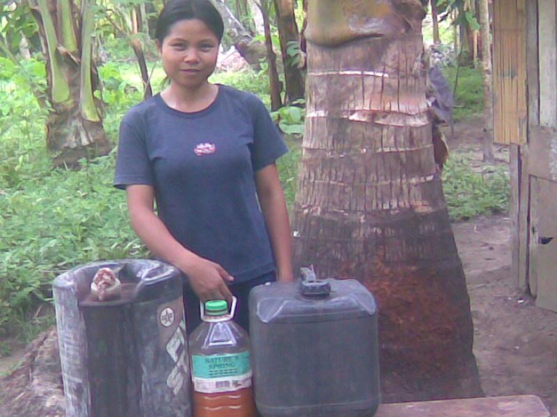 Borrower image