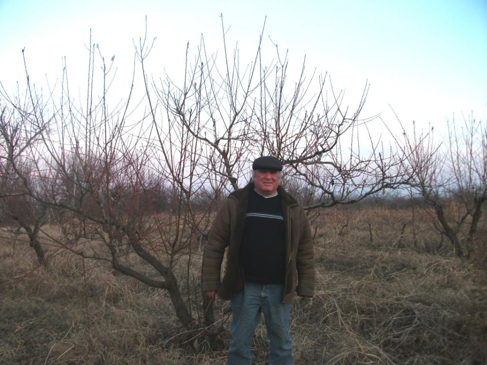 Borrower image