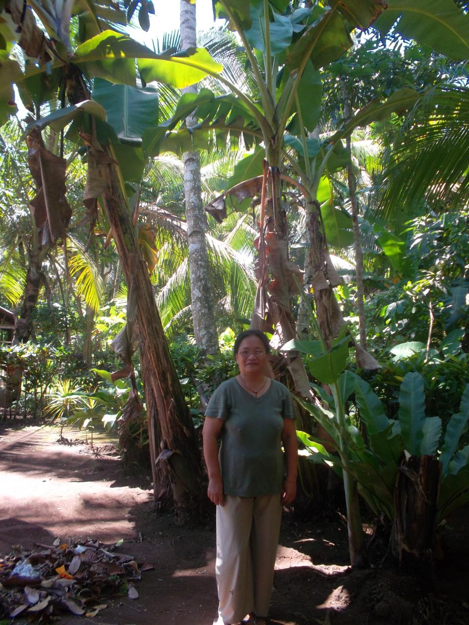 Borrower image
