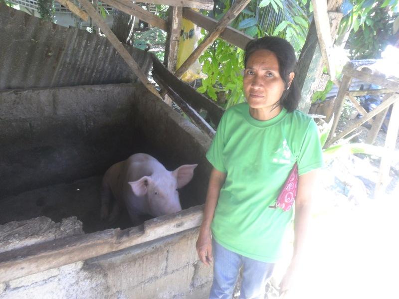 Borrower image