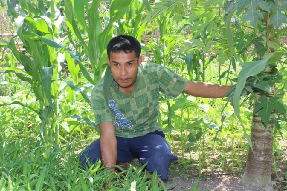 Borrower image